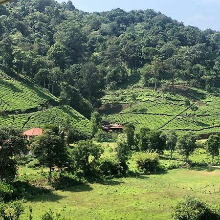 Janiro Tea Trees Villas Vythiri Εξωτερικό φωτογραφία