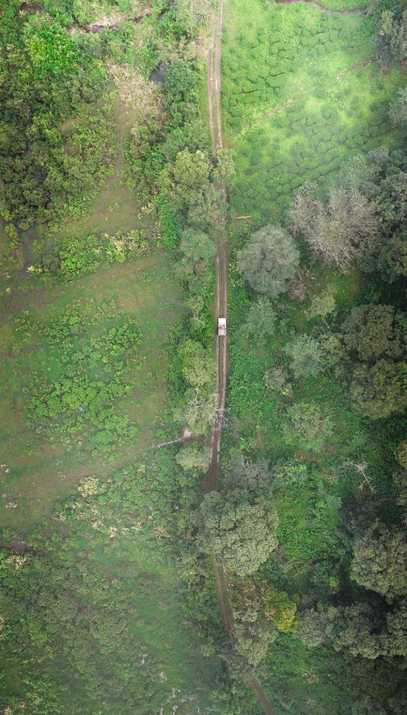 Janiro Tea Trees Villas Vythiri Εξωτερικό φωτογραφία
