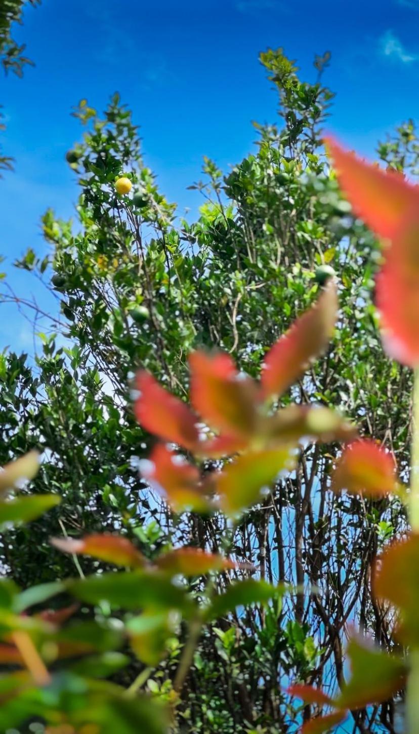 Janiro Tea Trees Villas Vythiri Εξωτερικό φωτογραφία