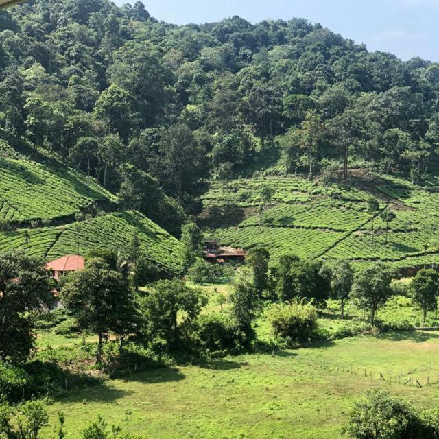 Janiro Tea Trees Villas Vythiri Εξωτερικό φωτογραφία