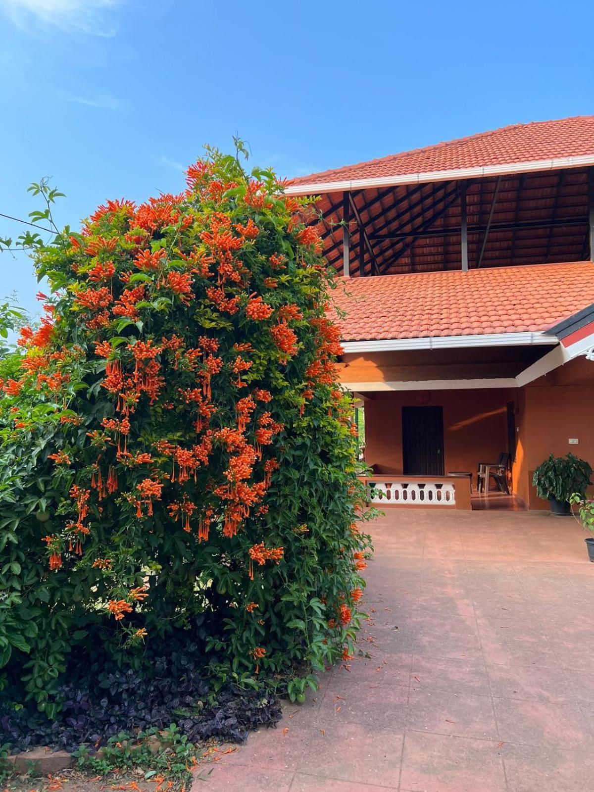 Janiro Tea Trees Villas Vythiri Εξωτερικό φωτογραφία